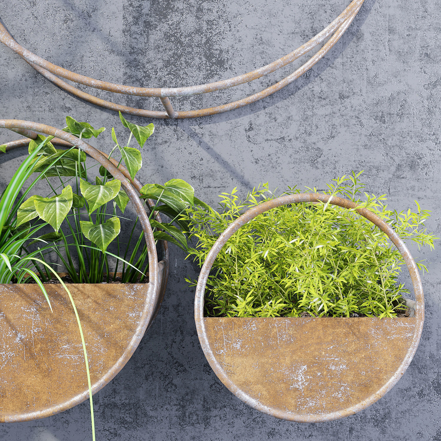 Circle shelves 3D model_2