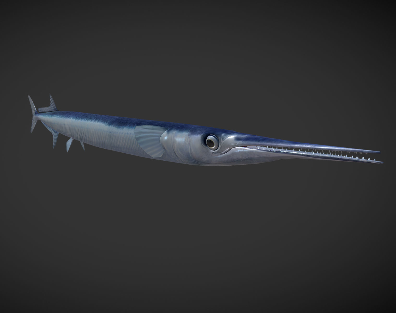 SwordFish fish with long tail Low-poly 3D model_2