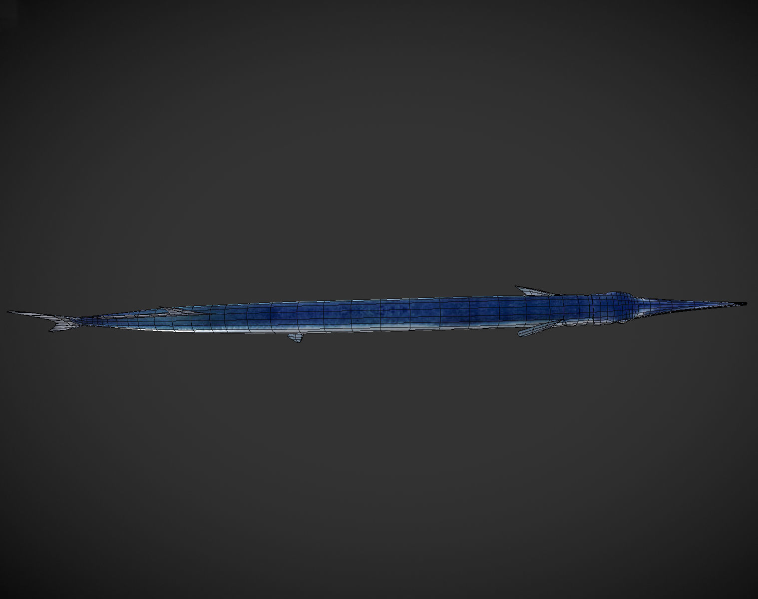 SwordFish fish with long tail Low-poly 3D model_6