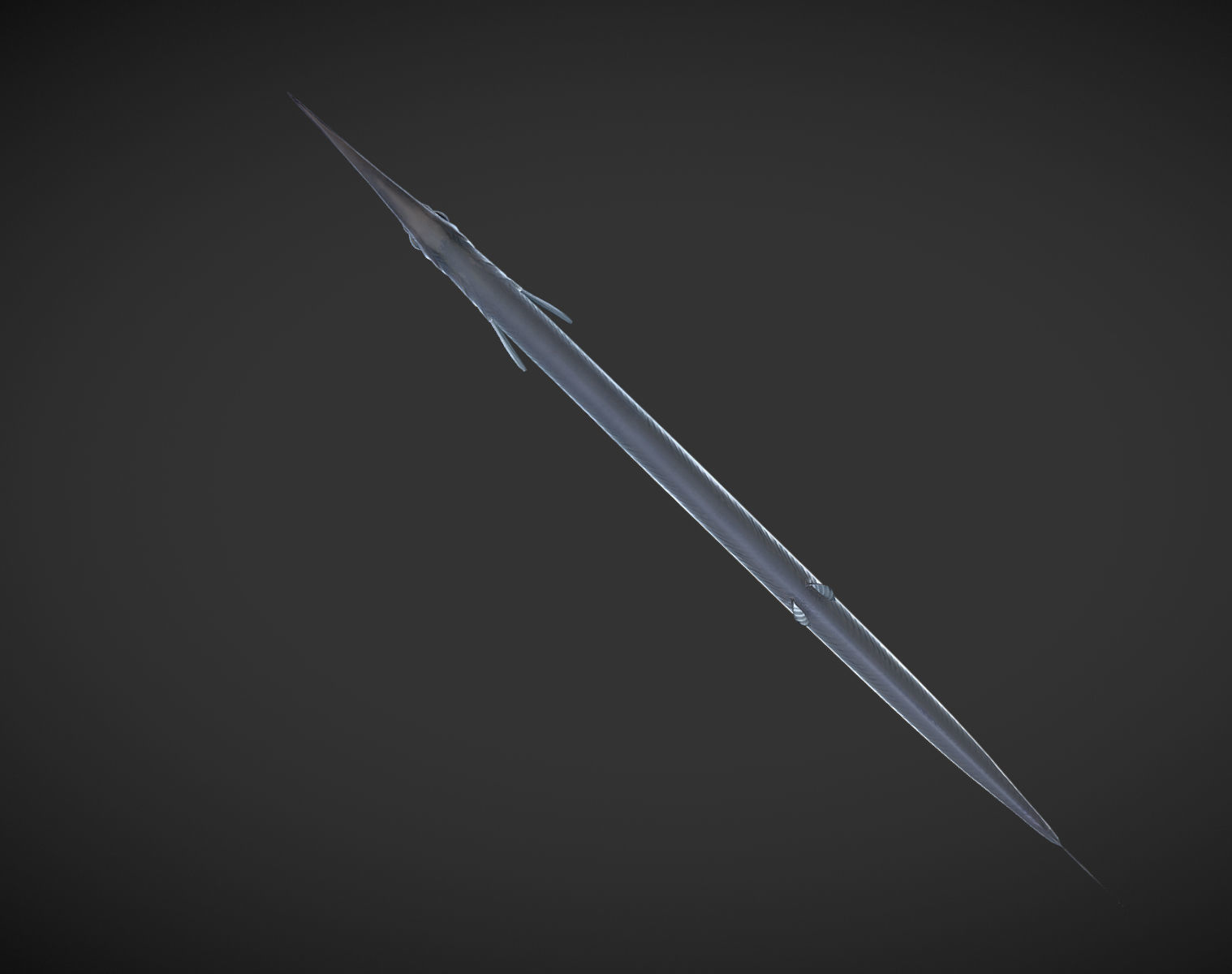 SwordFish fish with long tail Low-poly 3D model_8