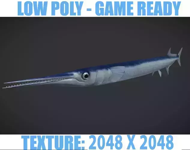 SwordFish fish with long tail