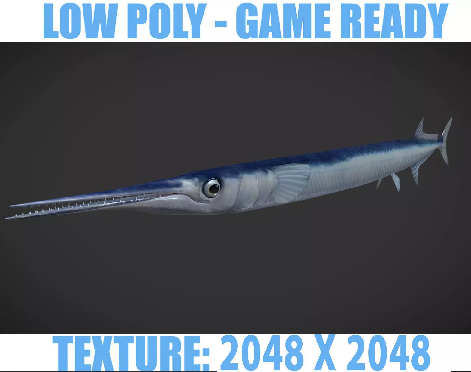 SwordFish fish with long tail Low-poly 3D model_0