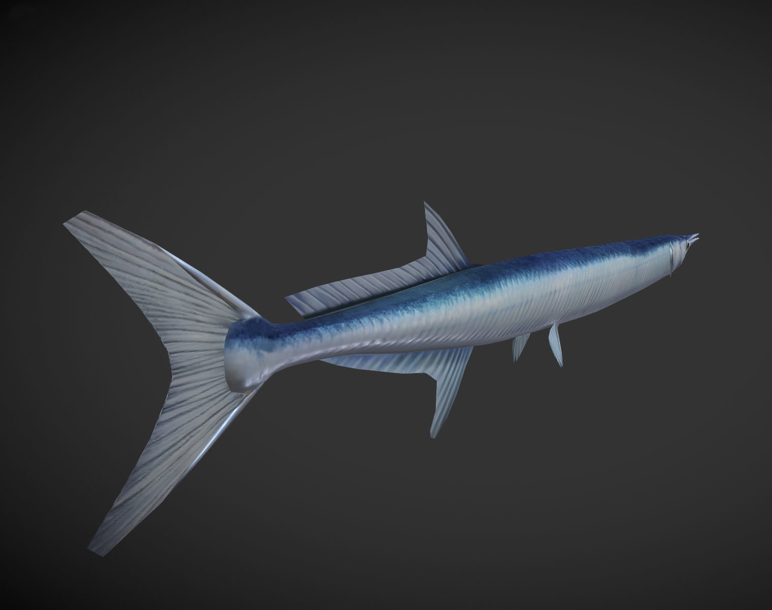 SwordFish fish with long tail Low-poly 3D model_3