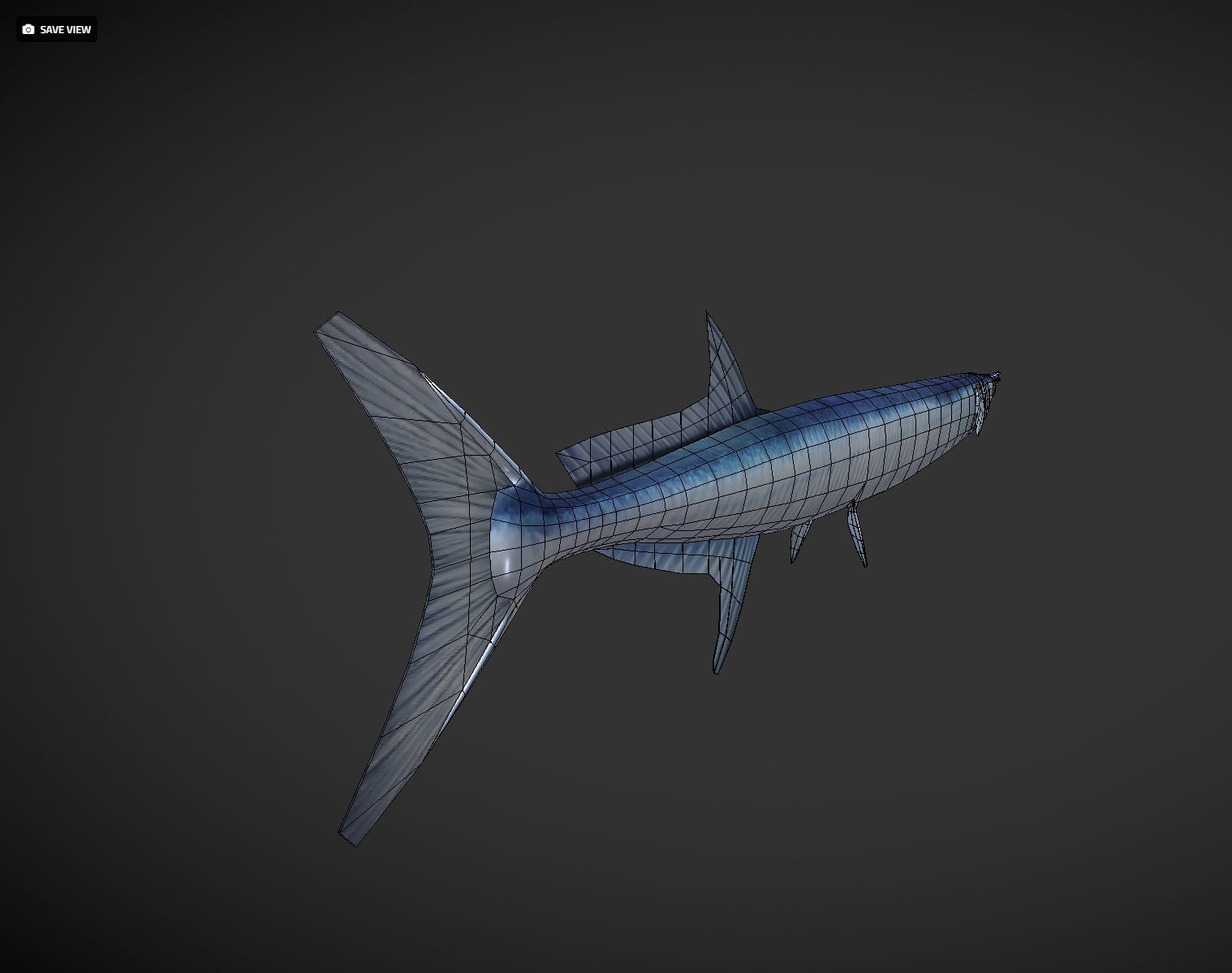 SwordFish fish with long tail Low-poly 3D model_9