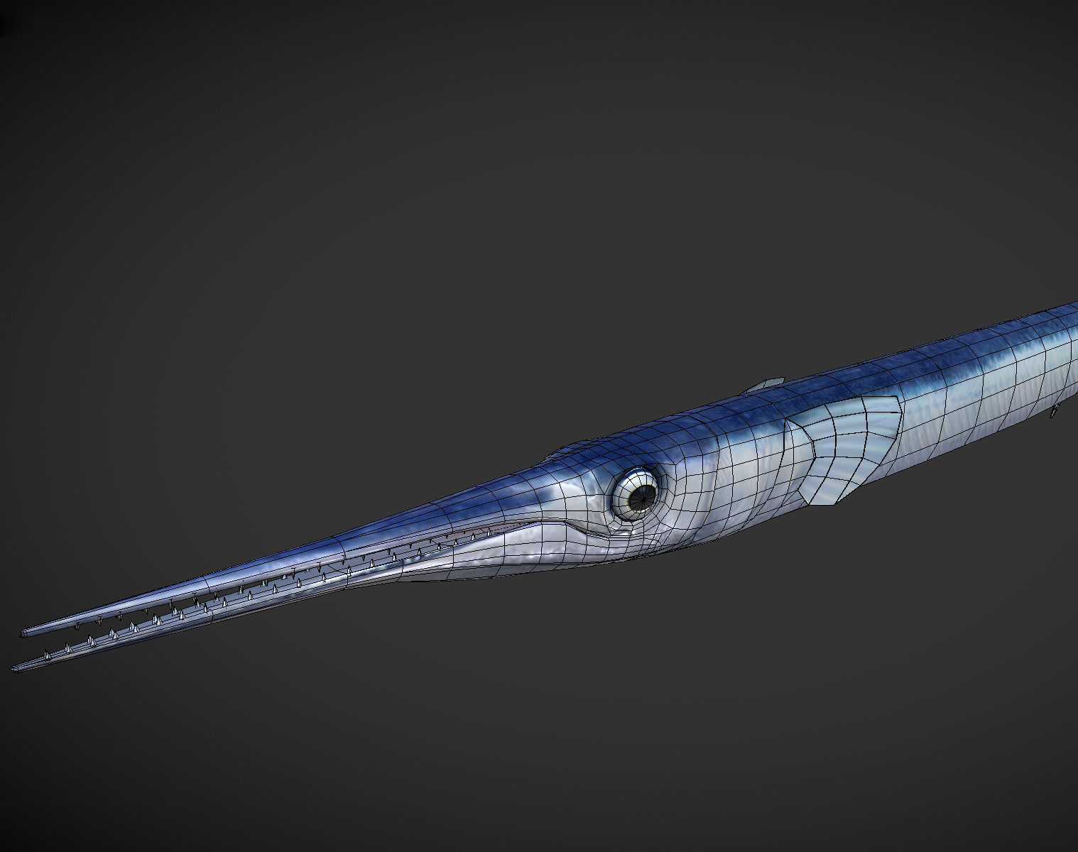 SwordFish fish with long tail Low-poly 3D model_5
