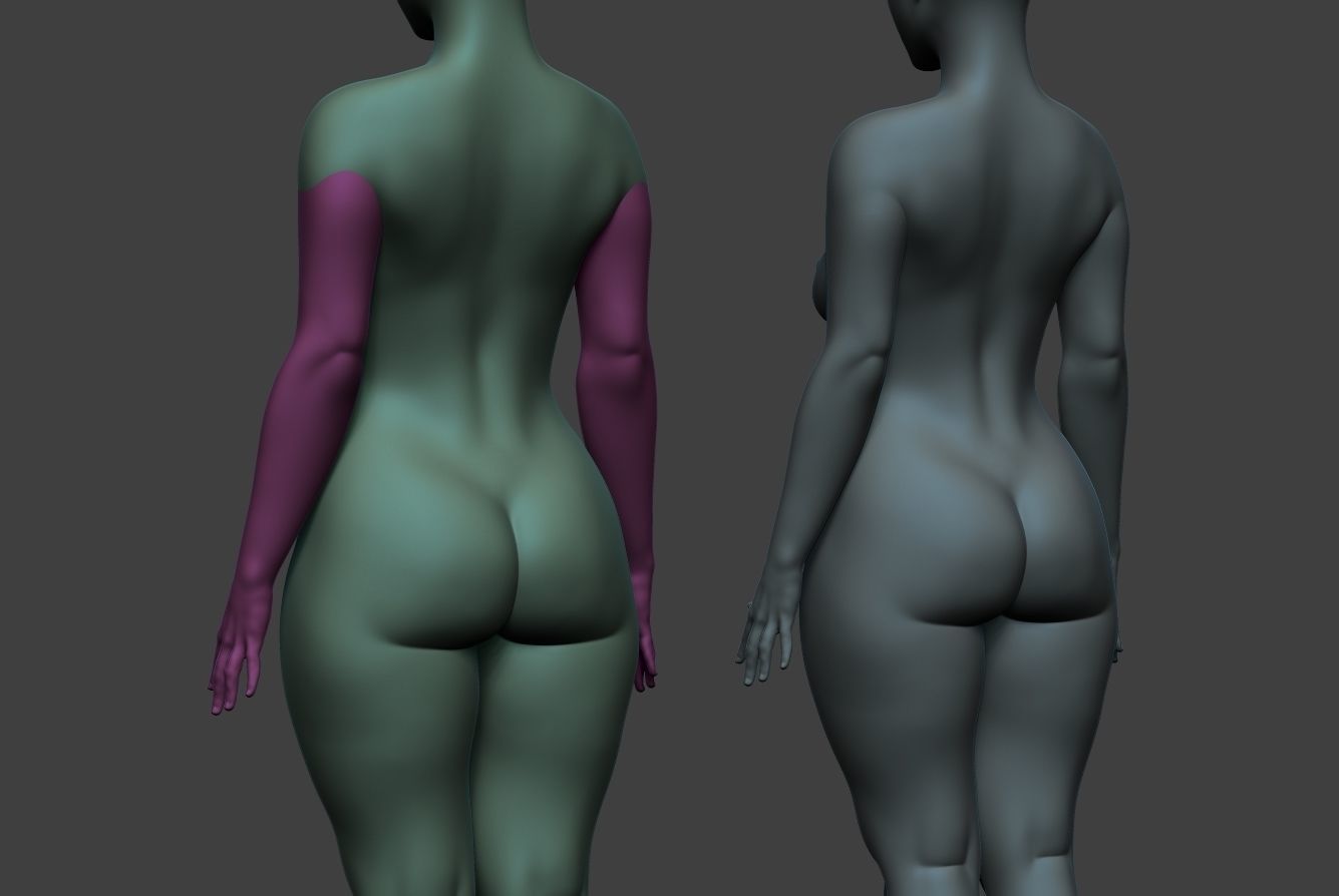 Female Body Basemesh 6 3D model_15