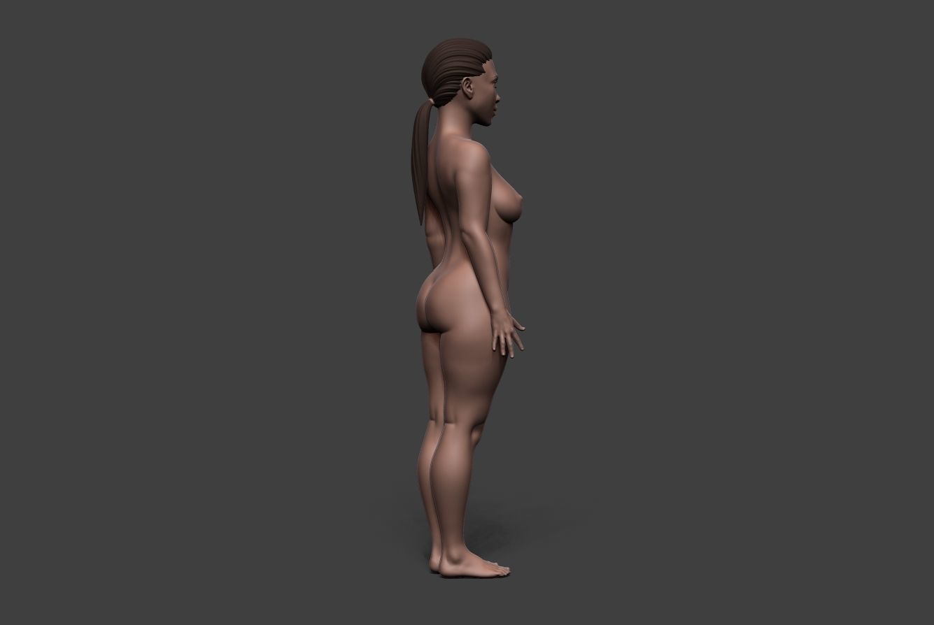 Female Body Basemesh 6 3D model_3