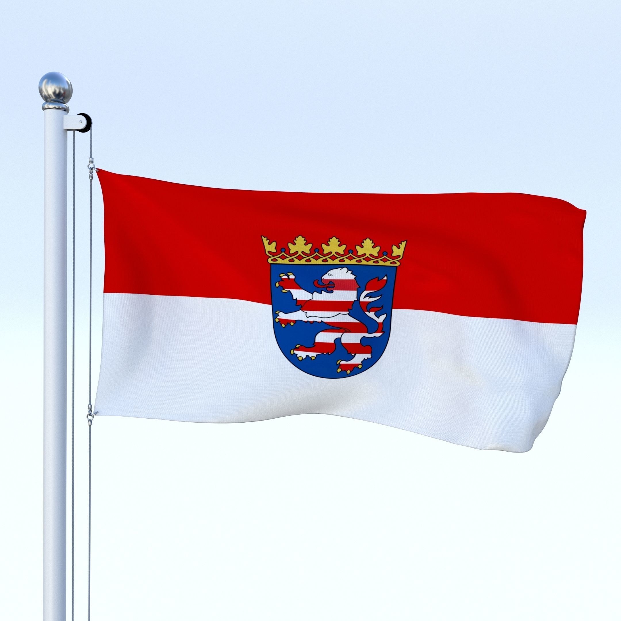 Animated German Flag Pack 3D model_7