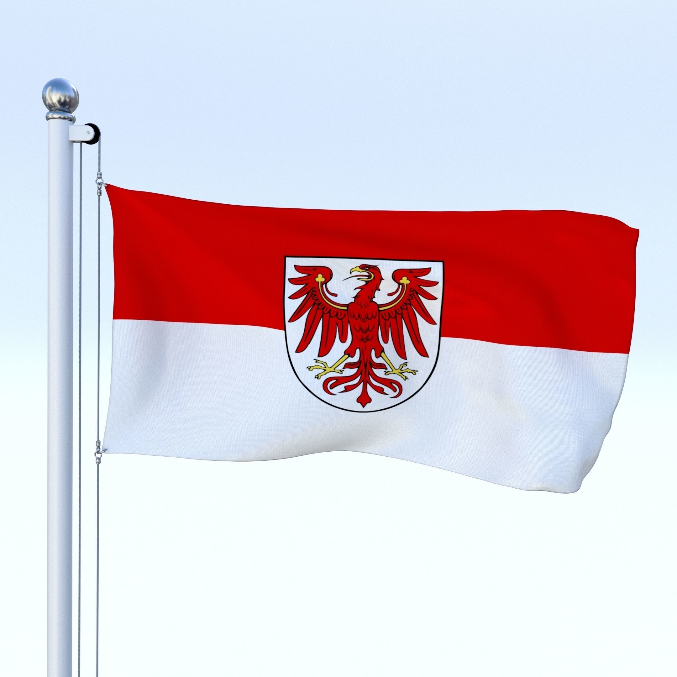 Animated German Flag Pack 3D model_3