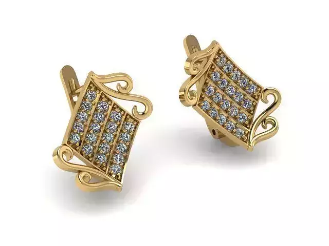 Earrings T00533