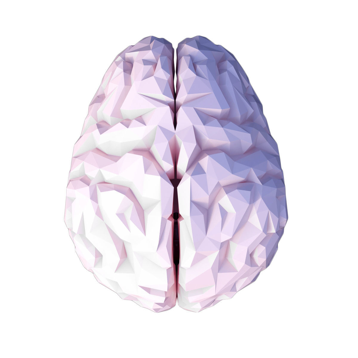 Low Poly Brain Low-poly 3D model_6