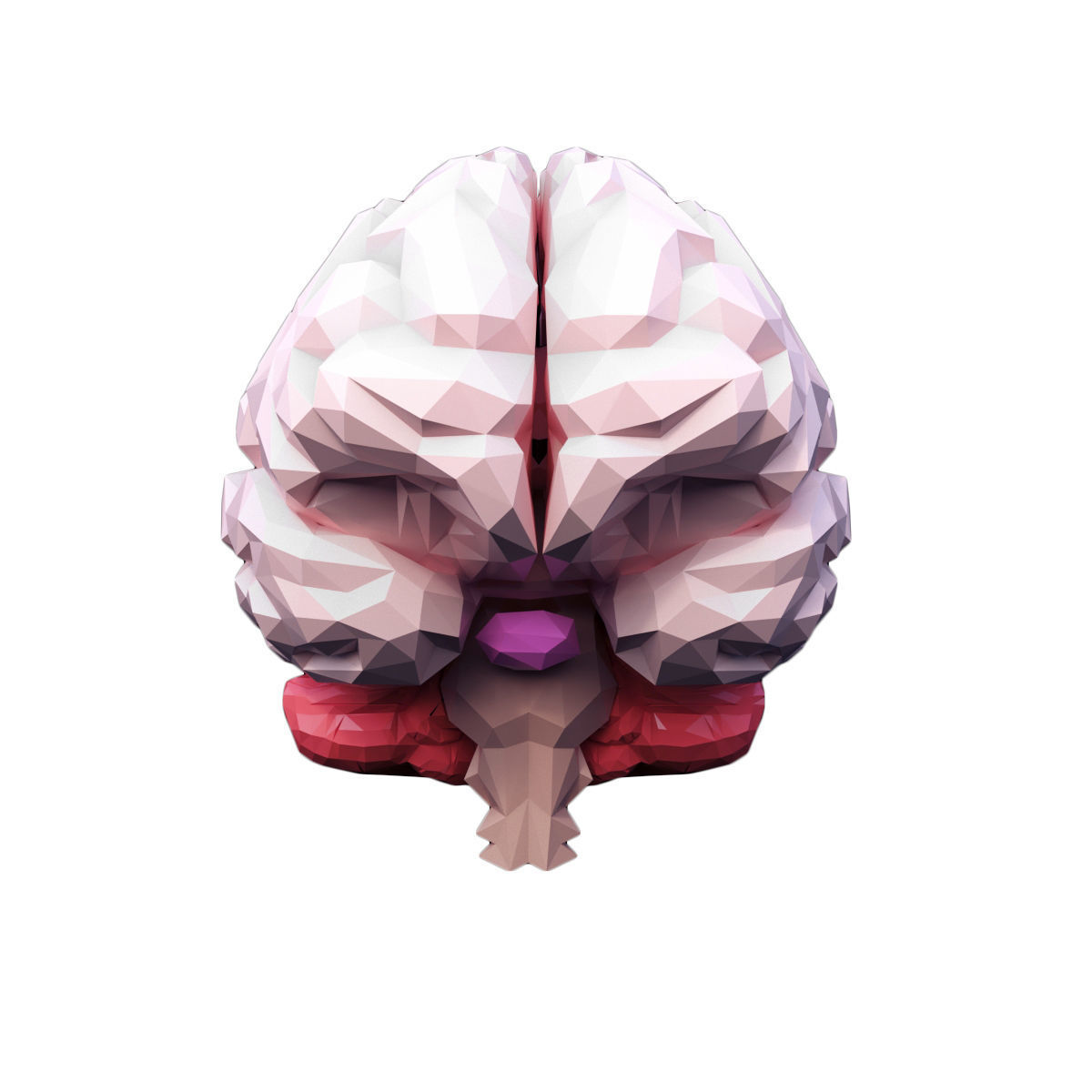 Low Poly Brain Low-poly 3D model_5