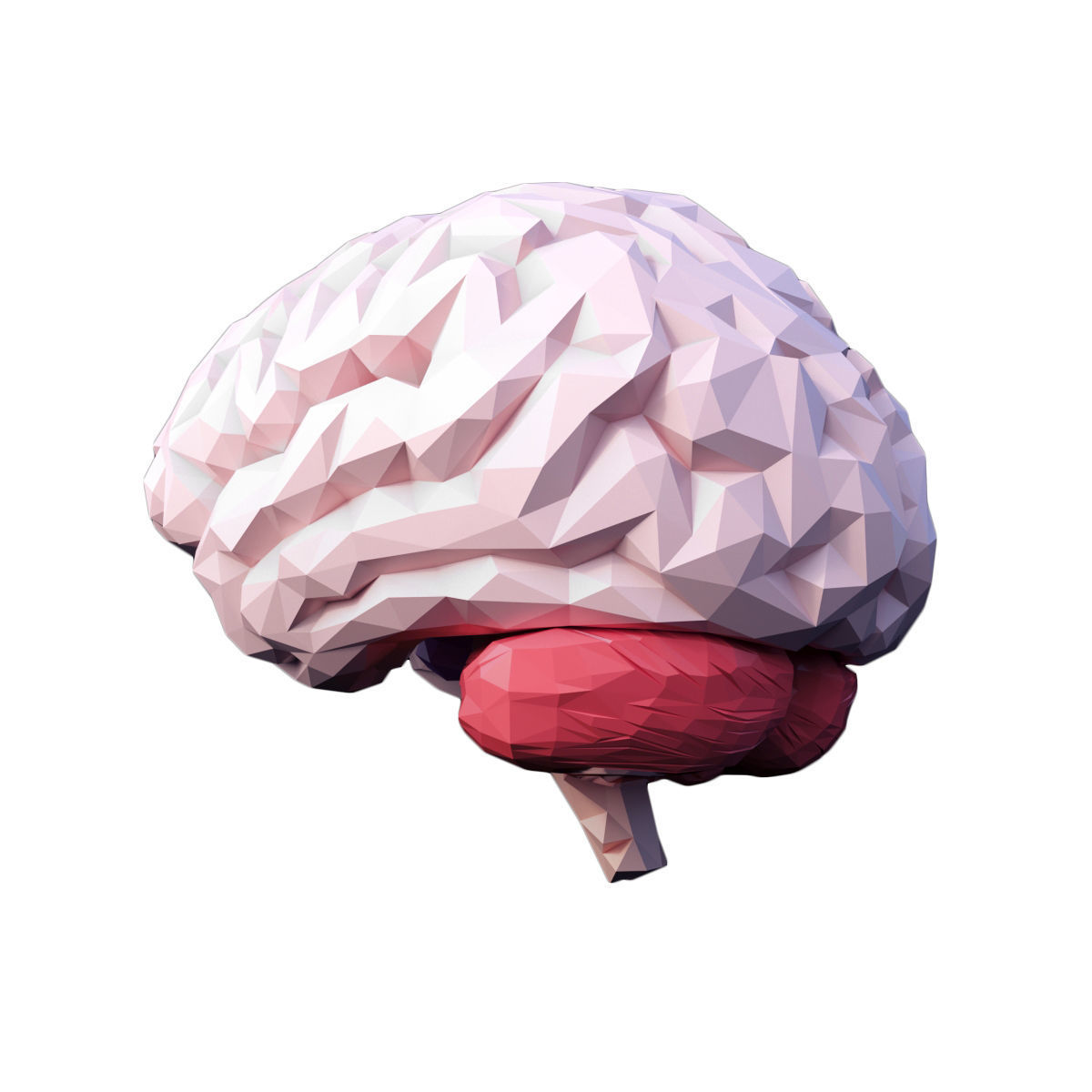 Low Poly Brain Low-poly 3D model_3