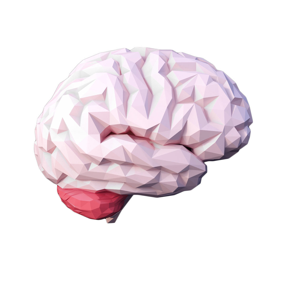 Low Poly Brain Low-poly 3D model_1