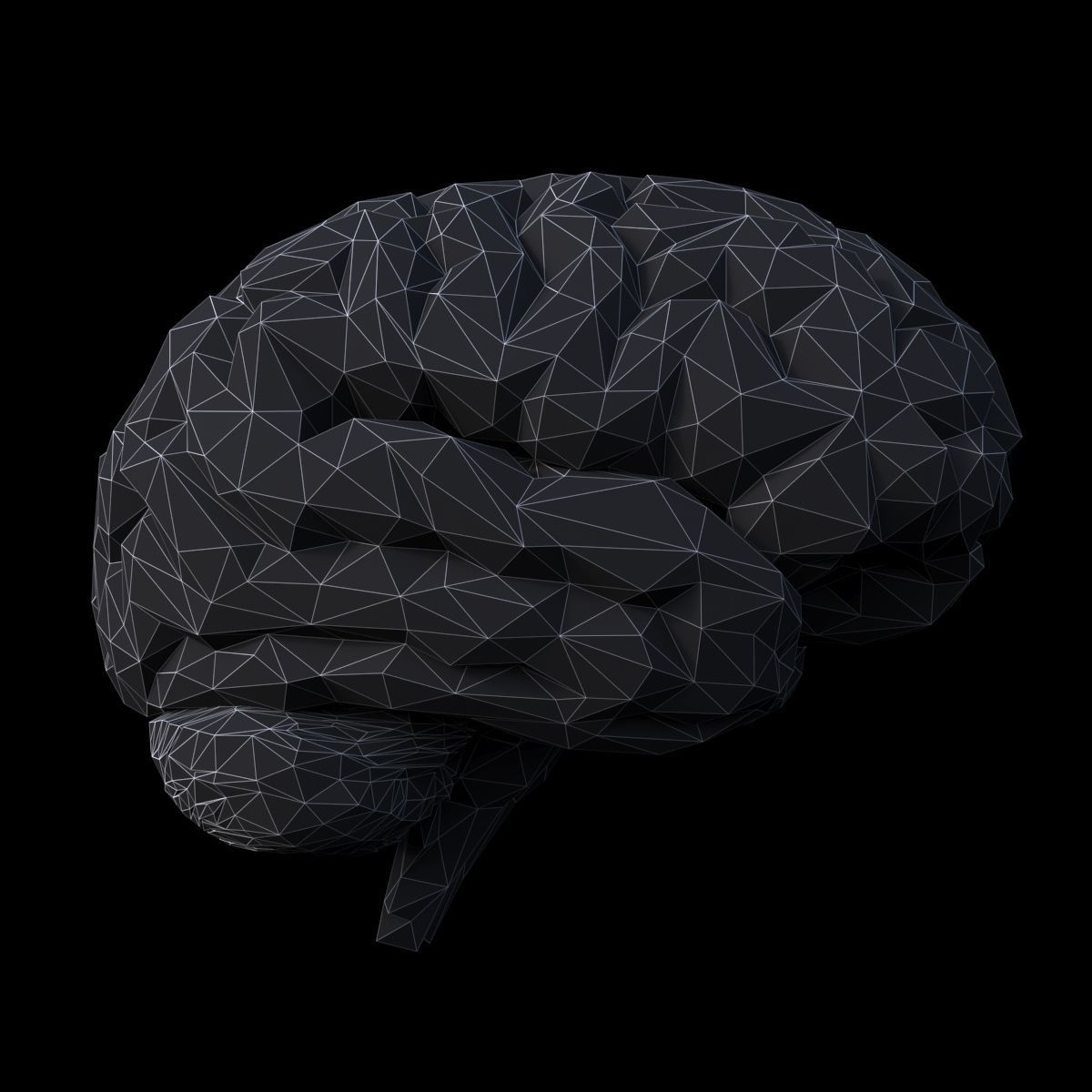 Low Poly Brain Low-poly 3D model_8