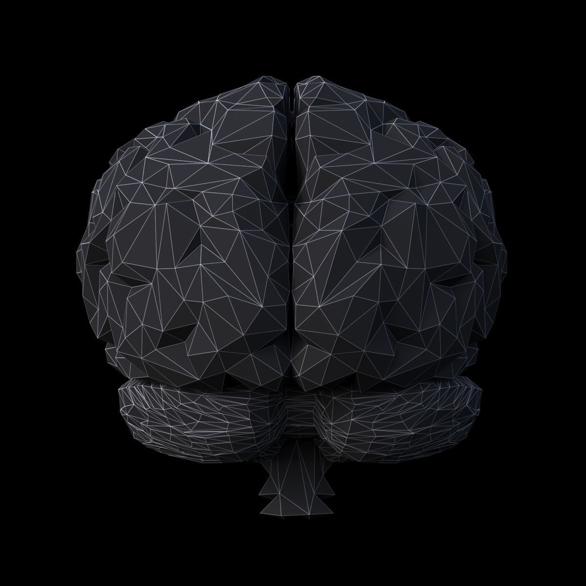 Low Poly Brain Low-poly 3D model_7