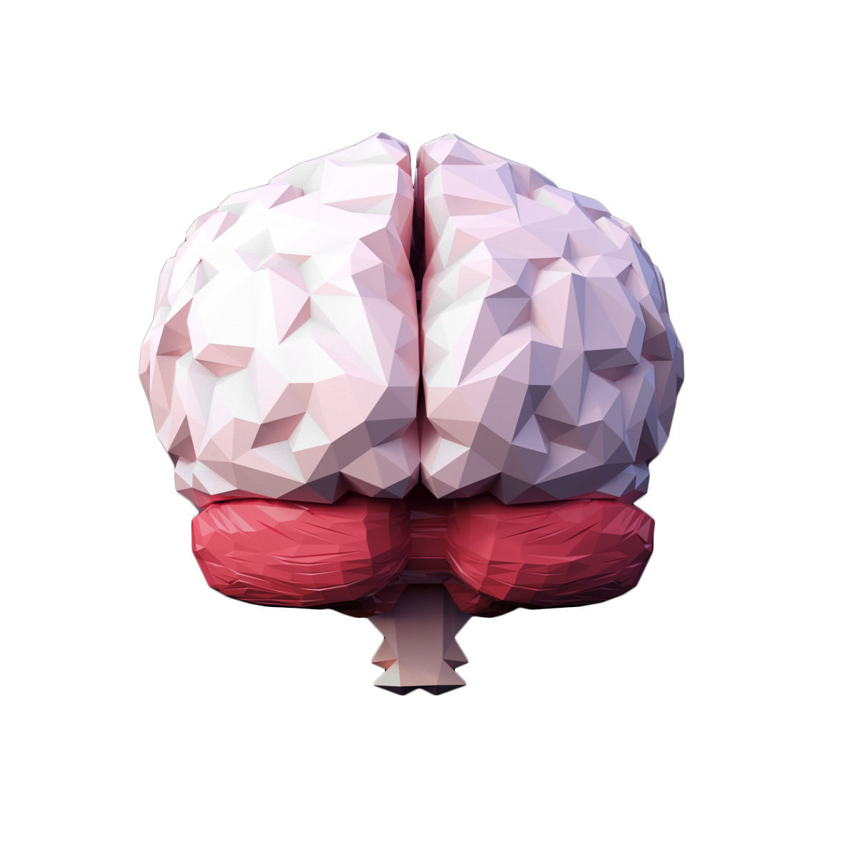 Low Poly Brain Low-poly 3D model_2
