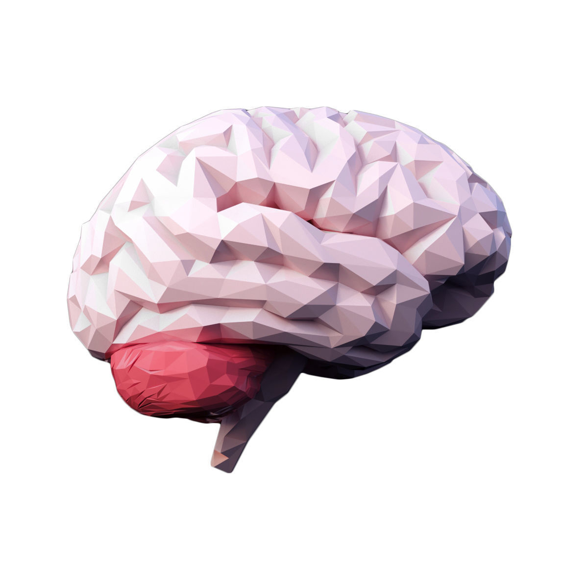 Low Poly Brain Low-poly 3D model_0