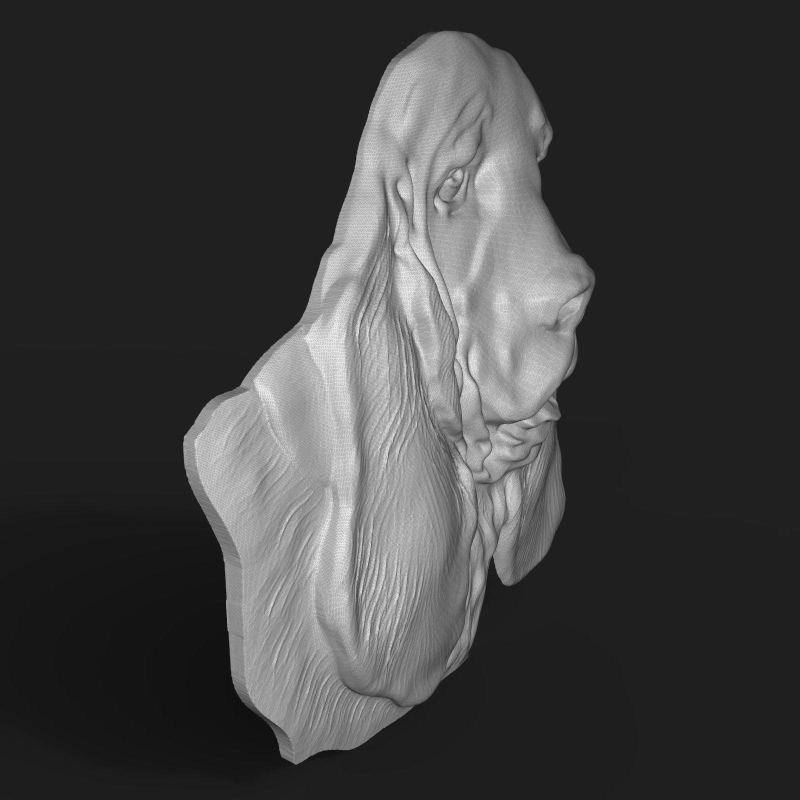 Basset Hound Dog head bas relief 3D print model_9