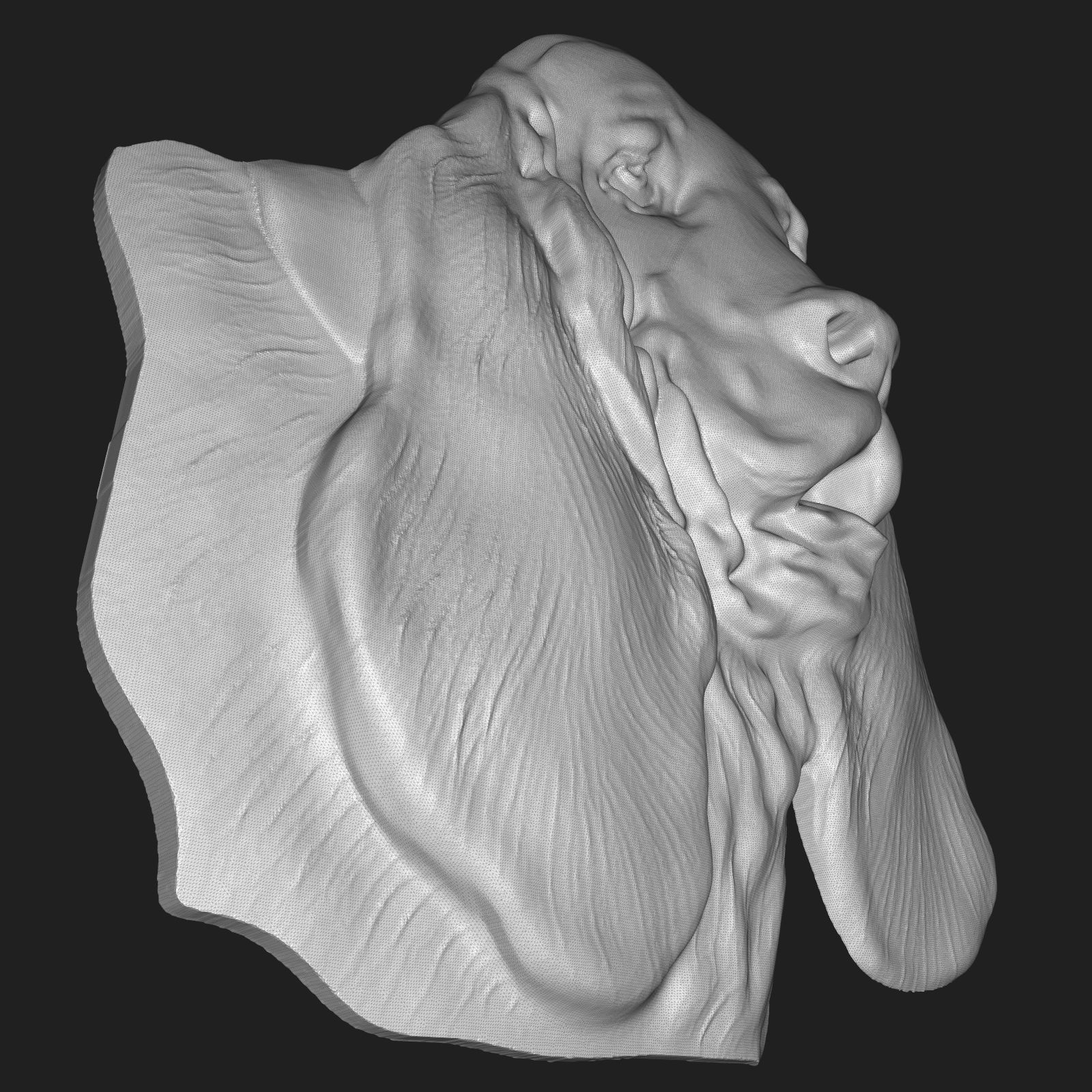 Basset Hound Dog head bas relief 3D print model_8