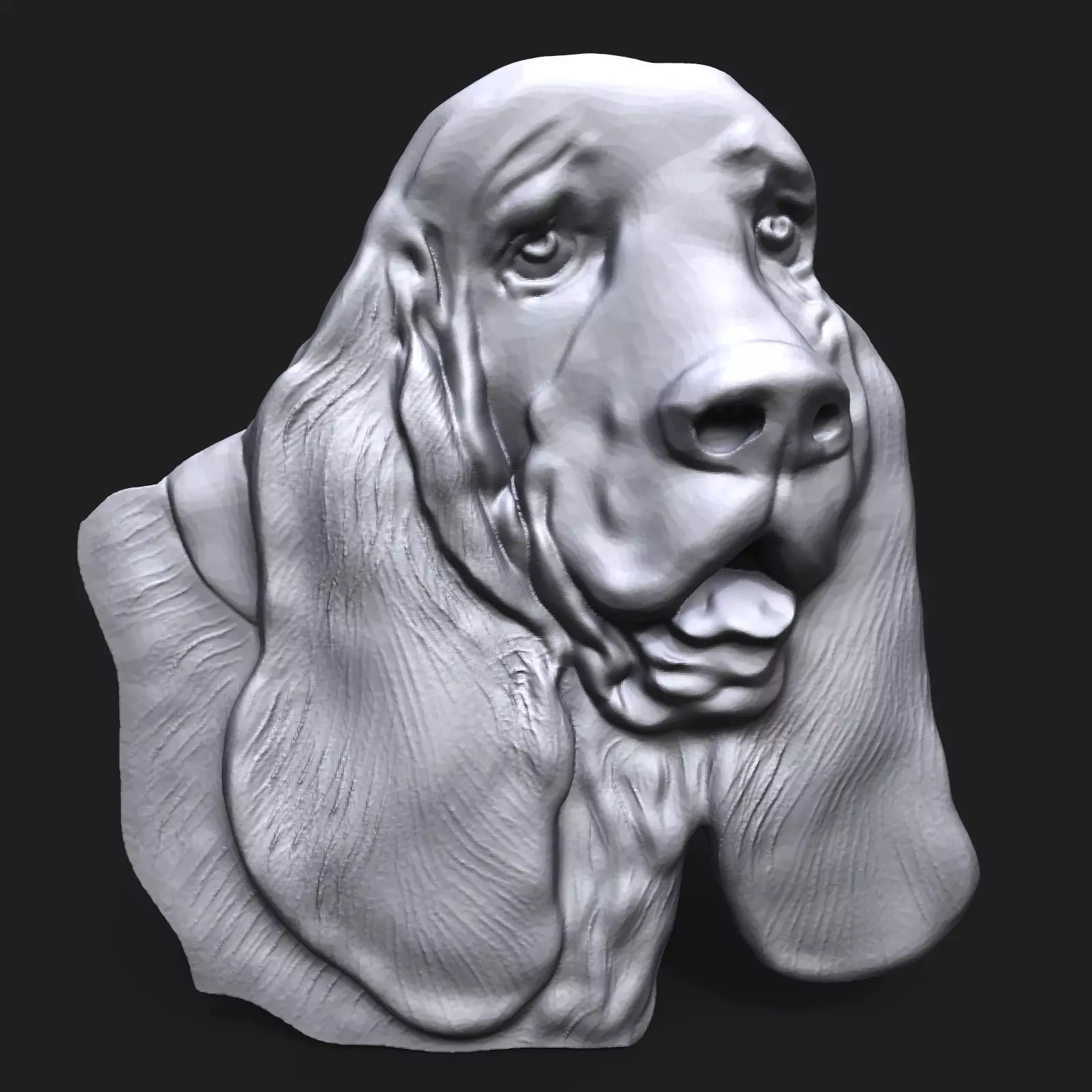 Basset Hound Dog head bas relief 3D print model_0