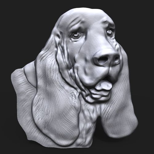 Basset Hound Dog head bas relief 3D print model