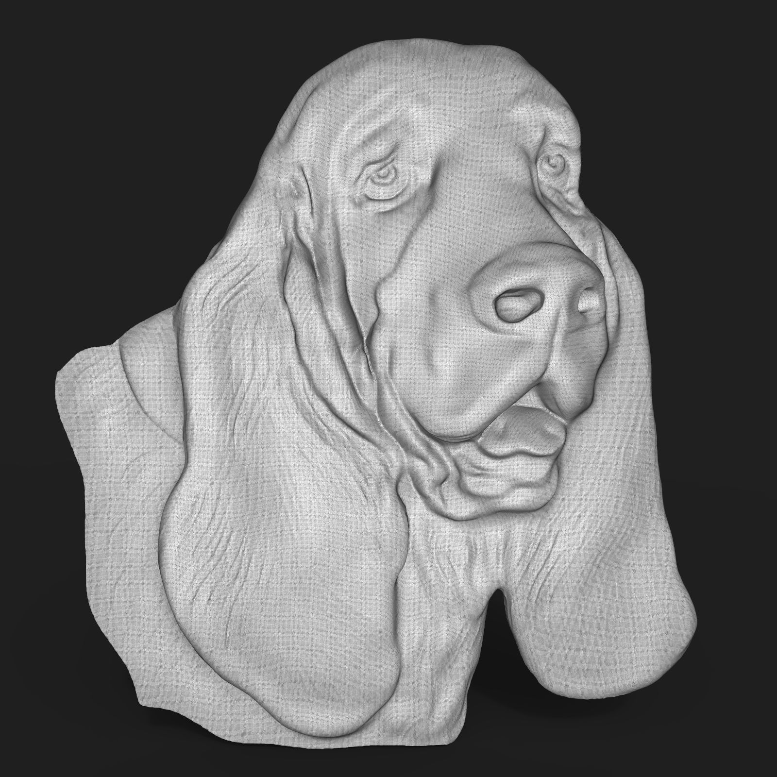 Basset Hound Dog head bas relief 3D print model_7