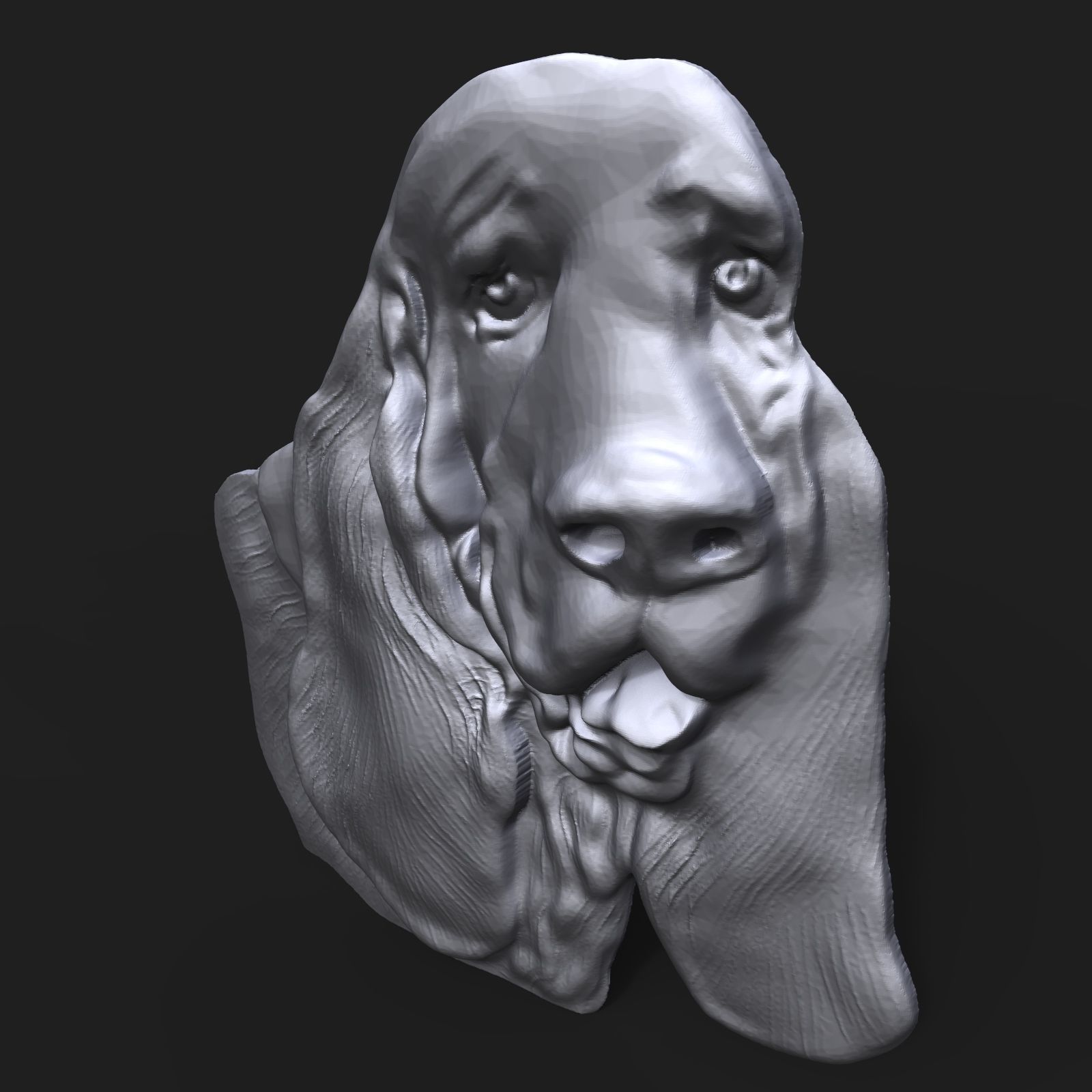 Basset Hound Dog head bas relief 3D print model_4