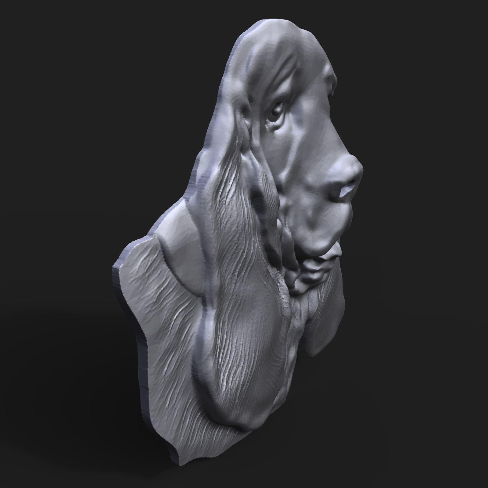 Basset Hound Dog head bas relief 3D print model_3