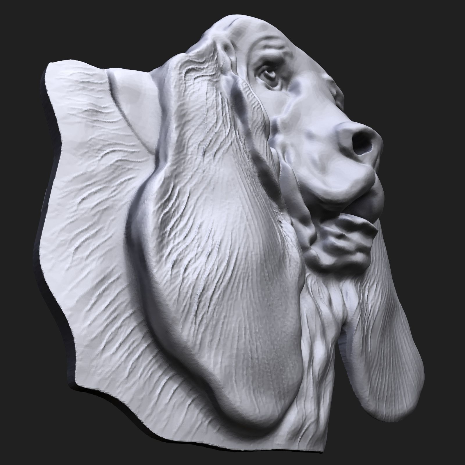 Basset Hound Dog head bas relief 3D print model_2