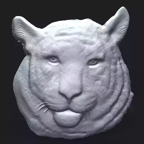Siberian tiger head bas relief