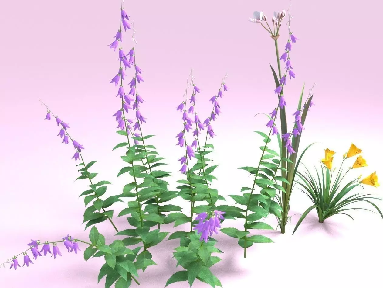 Flowers - Day Lily Campanula Butomus Low-poly 3D model