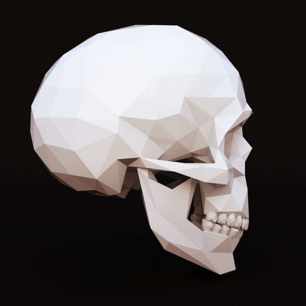 Low Poly Skull Human Low-poly 3D model_2