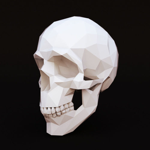 Low Poly Skull Human Low-poly 3D model