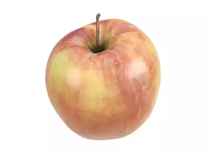 Photorealistic Apple 3D Scan 3D model