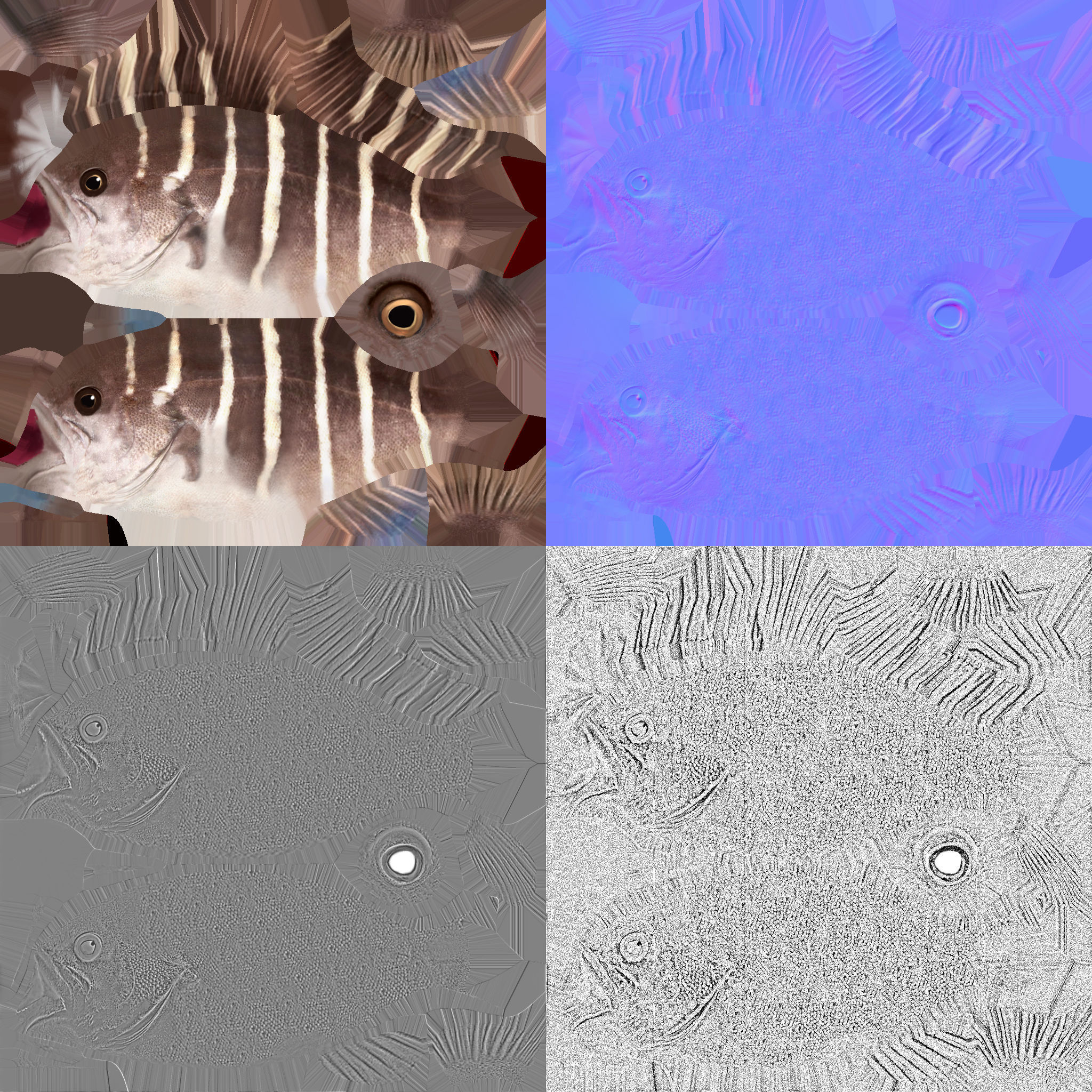 grouper fish with stripes Low-poly 3D model_10