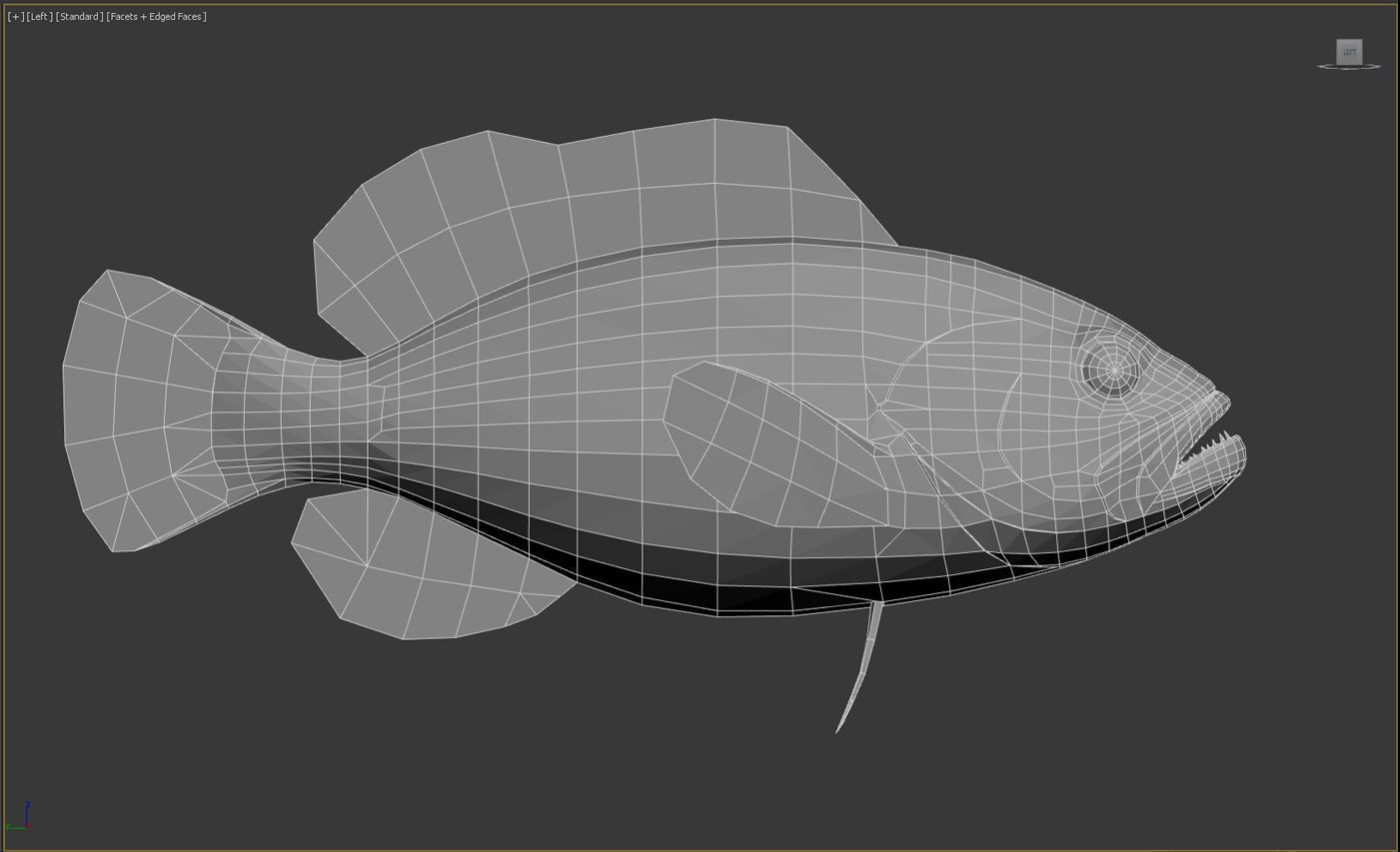 grouper fish with stripes Low-poly 3D model_9