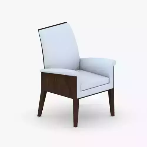 0698 - Chair