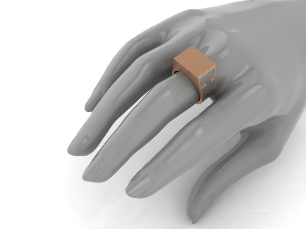 Secret Compartment Ring 2 in 1 3D print model_4