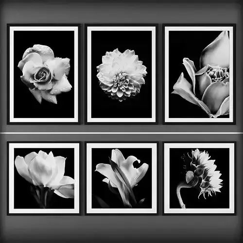 Picture Frames Low-poly 3D model