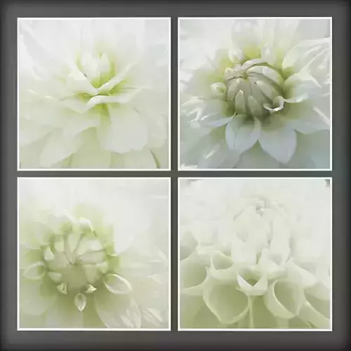 Picture Frames Low-poly 3D model