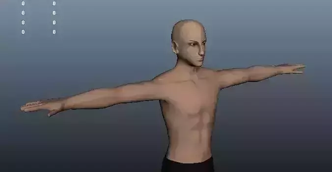 Fantasy Male 3d model