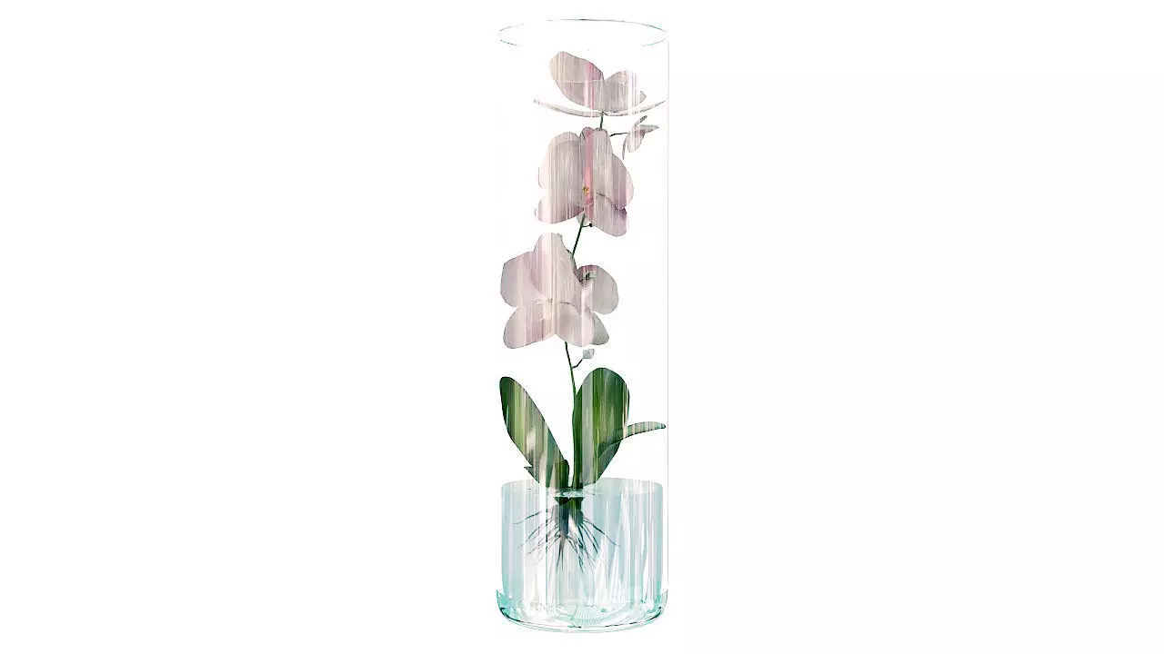 Orchid in glass vase 3D model_0
