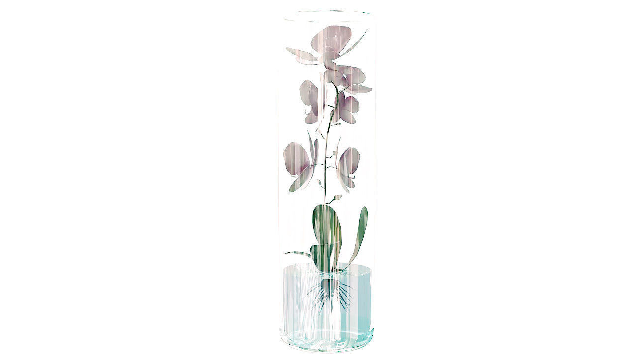 Orchid in glass vase 3D model_7