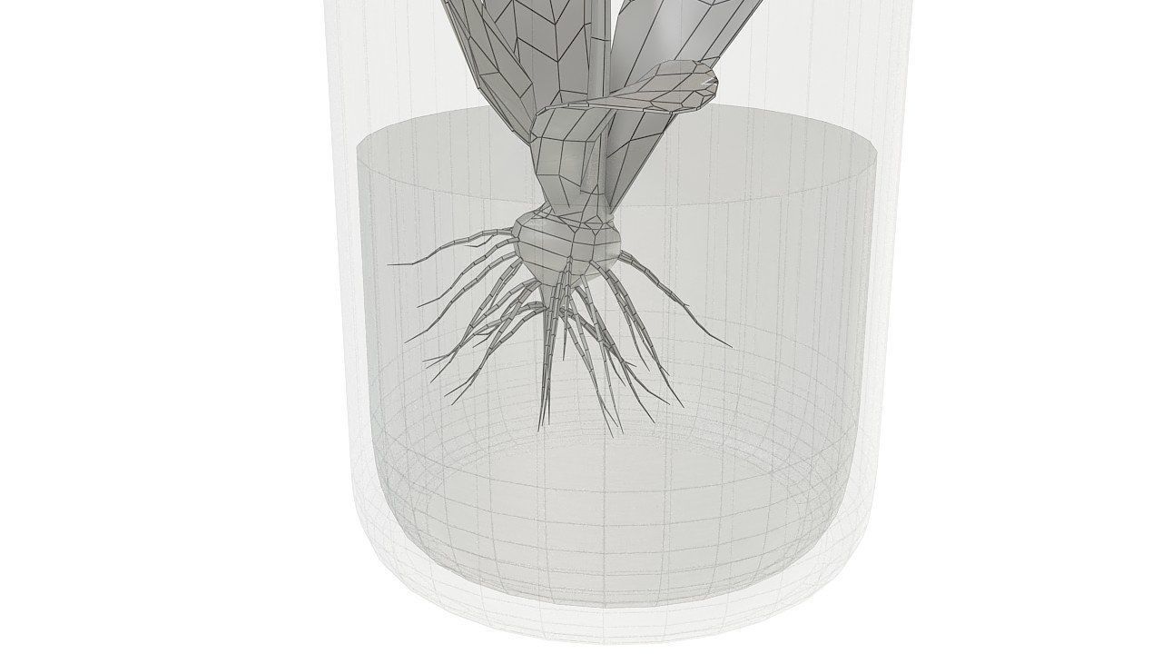 Orchid in glass vase 3D model_16