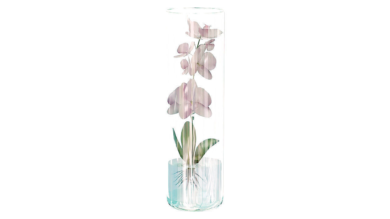 Orchid in glass vase 3D model_2