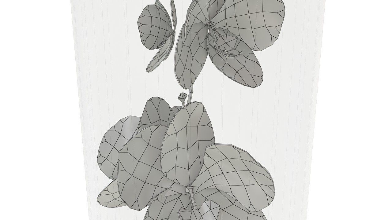 Orchid in glass vase 3D model_13