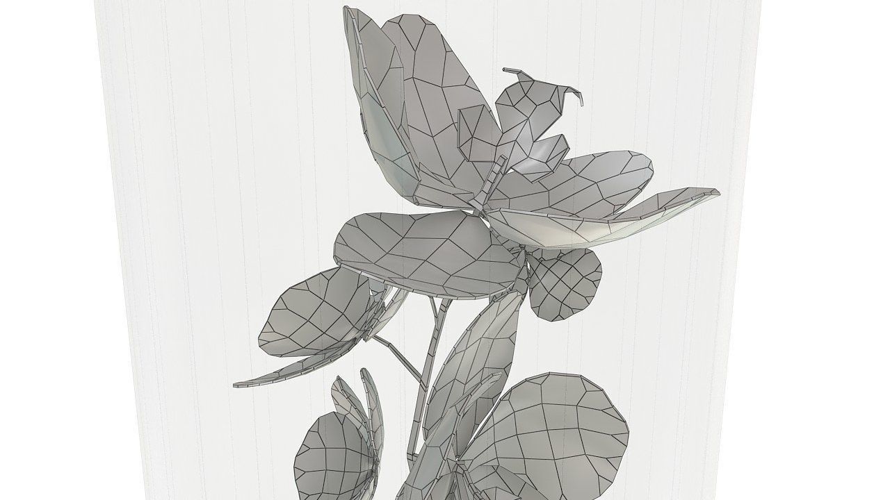 Orchid in glass vase 3D model_12