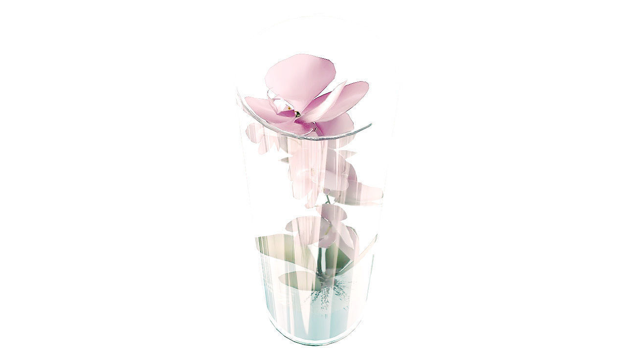 Orchid in glass vase 3D model_5