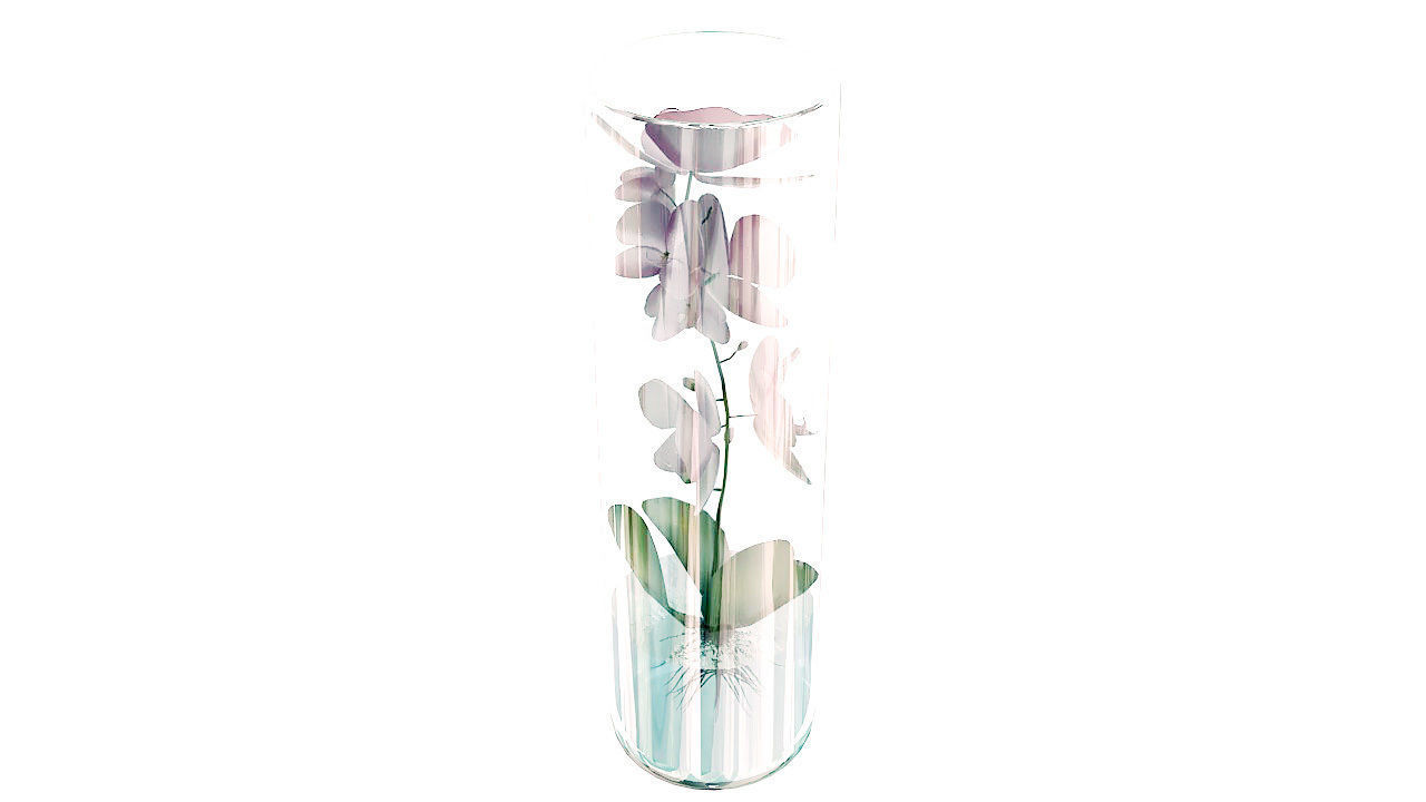 Orchid in glass vase 3D model_4